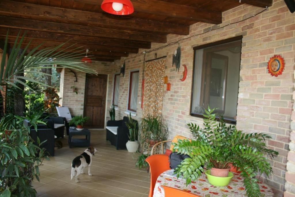 Casa Campagna Hotel Castiadas Exterior foto